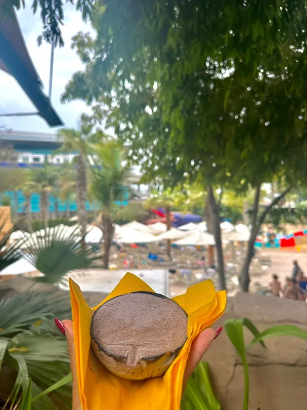 4_杜拜亞特蘭蒂斯海獅角