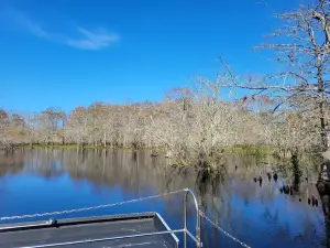 Airboat Rides at MIDWAY