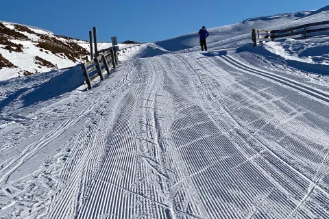 冰雪農場