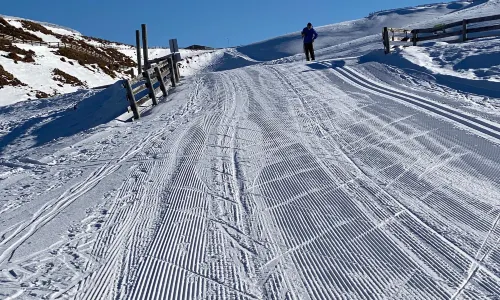 Snow Farm NZ