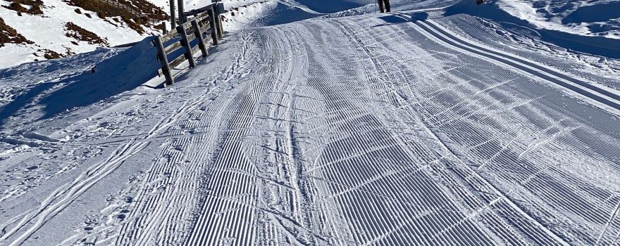 Snow Farm NZ
