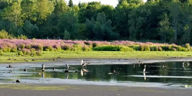Hotels near Lynde Shores Conservation Area