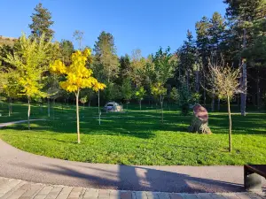 Rinia Park