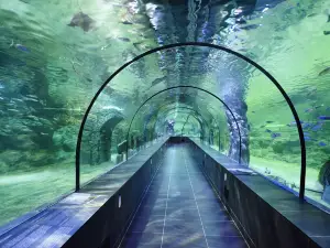 ViaSea Aquarium