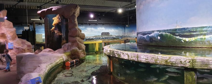 Sylt Aquarium