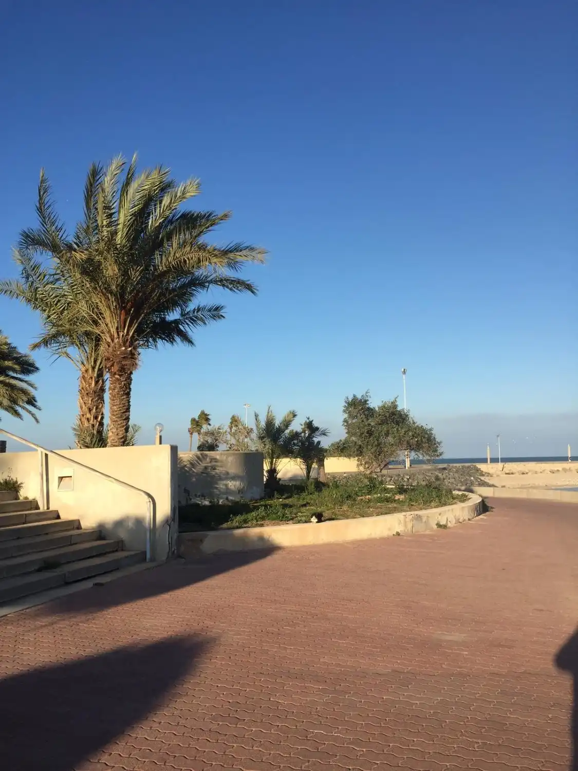 Hotels near Green Island
