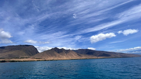 Sail Maui