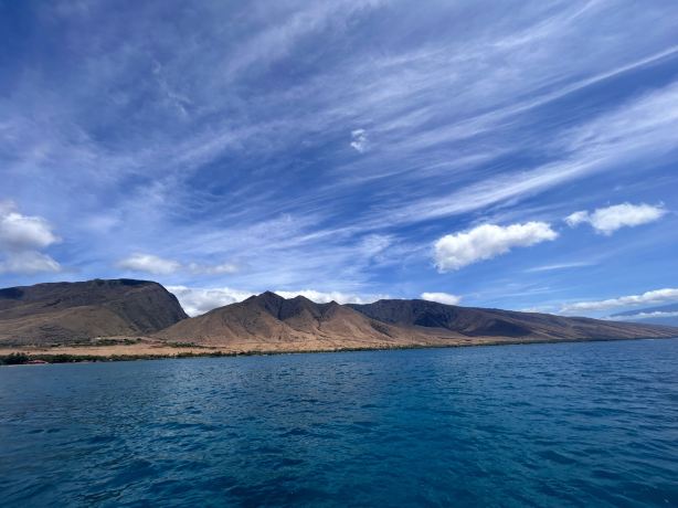 Sail Maui