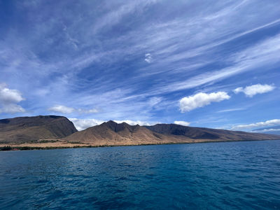 Sail Maui