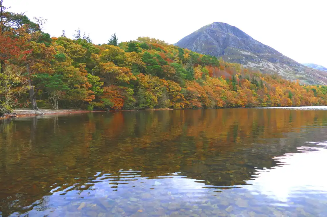 란스웨이트 우드 주변 호텔