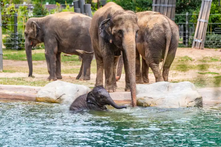 Hotels in der Nähe von Fort Worth Zoo