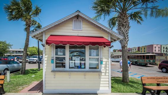 Amelia River Cruises & Charters