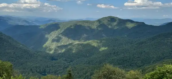 Bolu