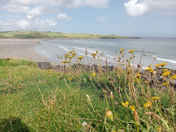 Inchydoney Beach