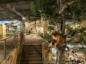 Glendive Dinosaur and Fossil Museum