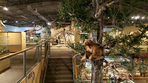 Glendive Dinosaur and Fossil Museum