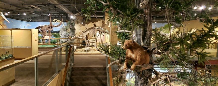 Glendive Dinosaur and Fossil Museum