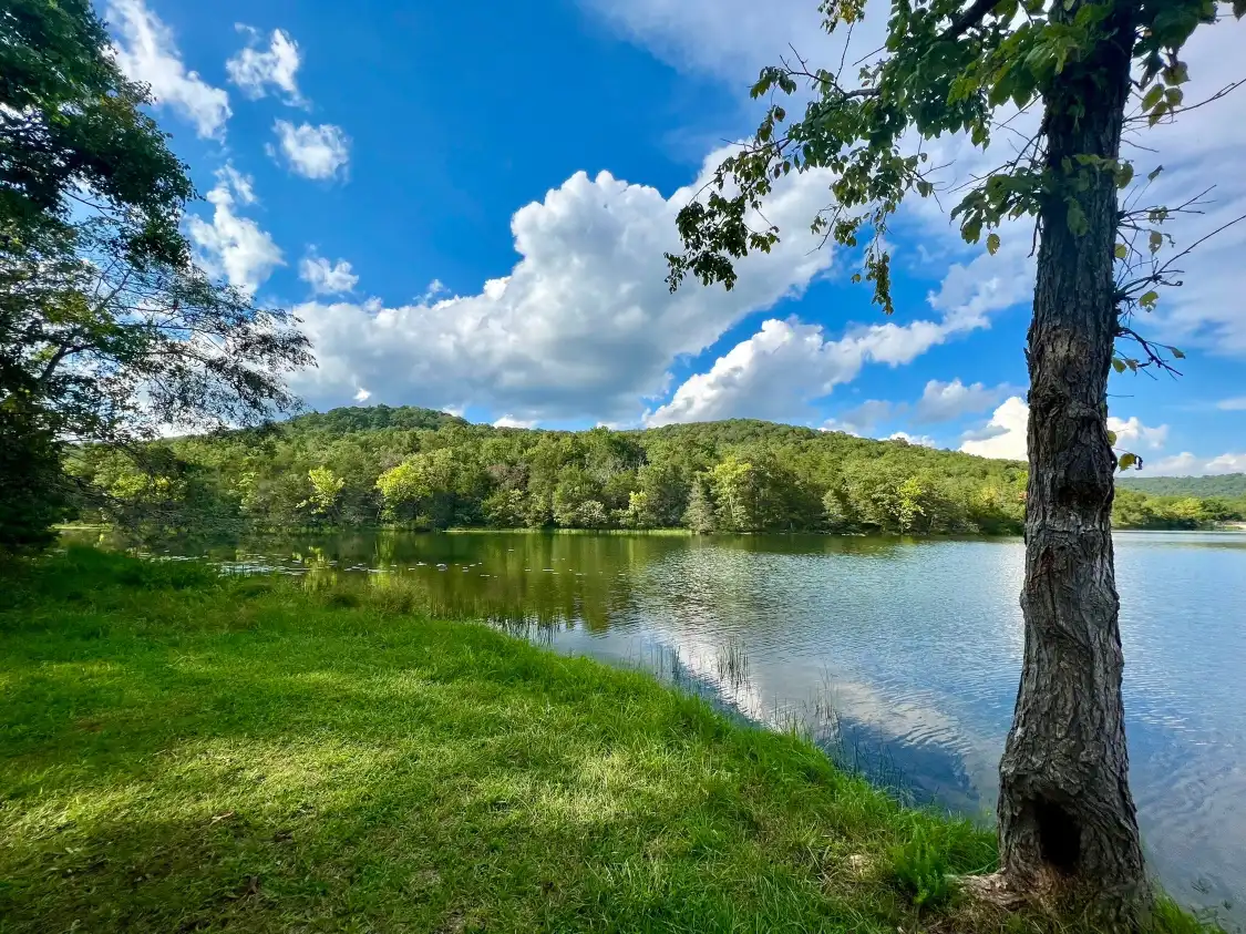 Hotels near Lake Leatherwood