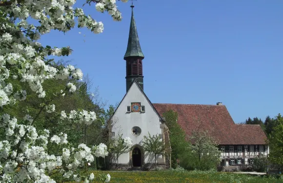 弗瑞迪根昂德唐