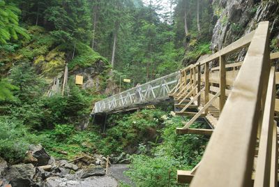 Gorges of the Diosaz