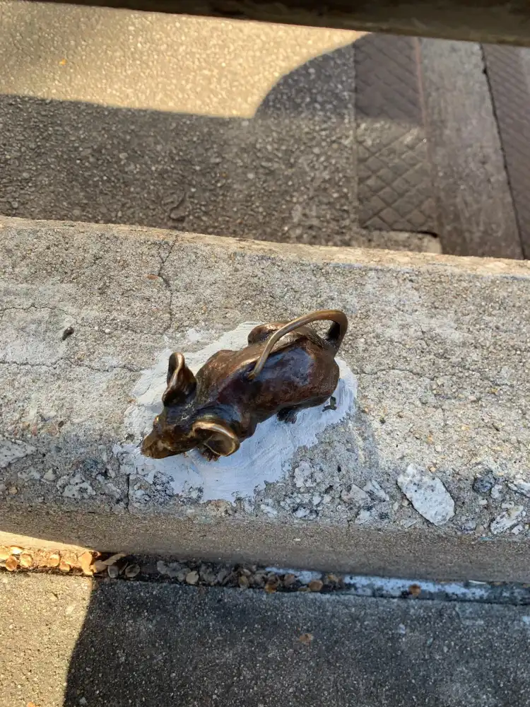 Hotels near Mice on Main