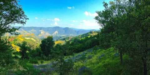 Il Giardino di Pimpinella