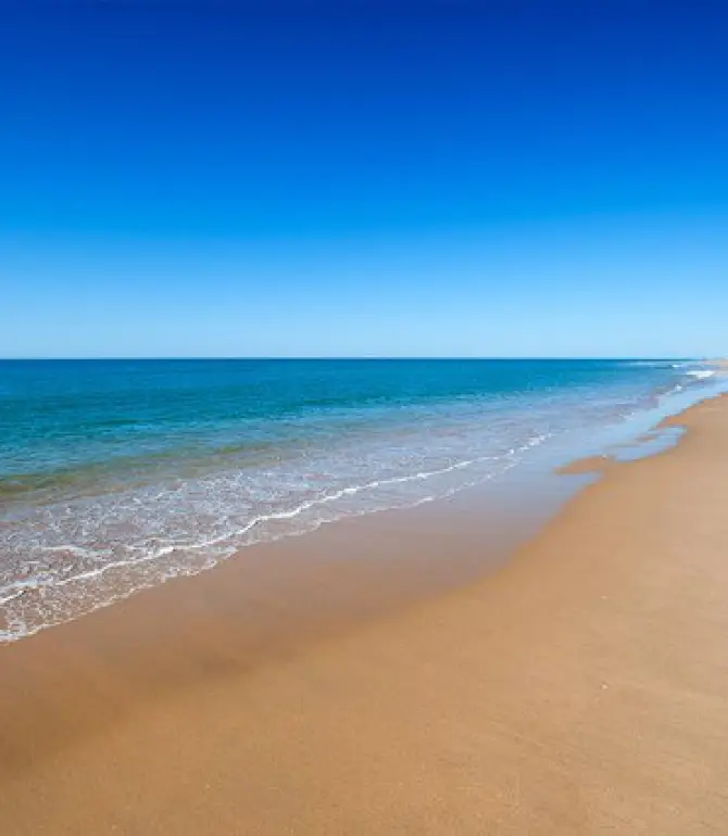 Cartaya