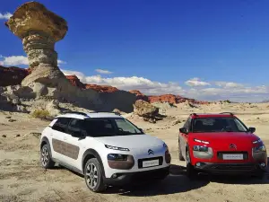 Parque Provincial Ischigualasto