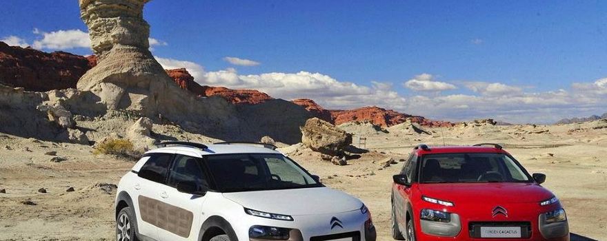 Parque Provincial Ischigualasto