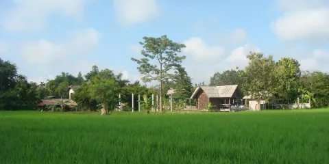 Da’s Organic Farm Hut Thai Cooking School