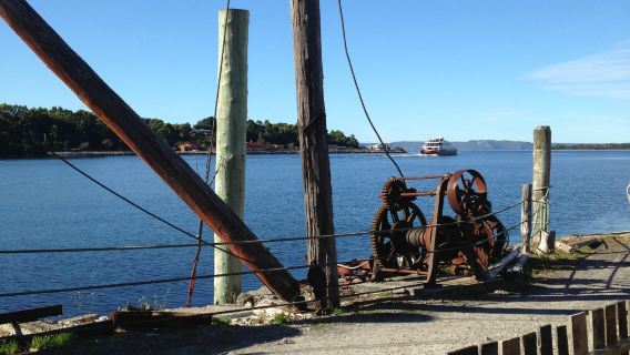 Morrisons Huon Pine Sawmill