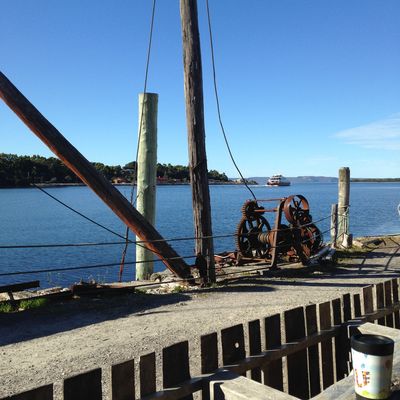 Morrisons Huon Pine Sawmill