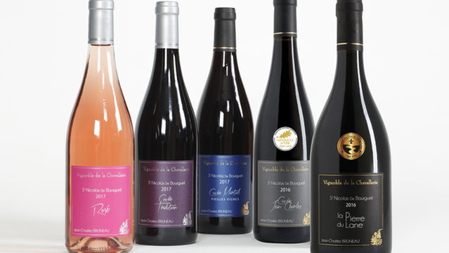 BRUNEAU Jean-Charles.Vignoble de la Chevallerie.