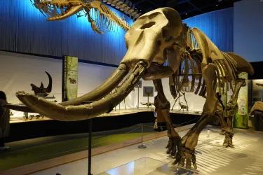 โทะโยะฮะชิ