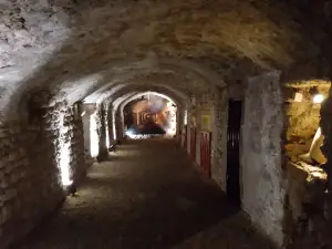 Roman Granary Museum