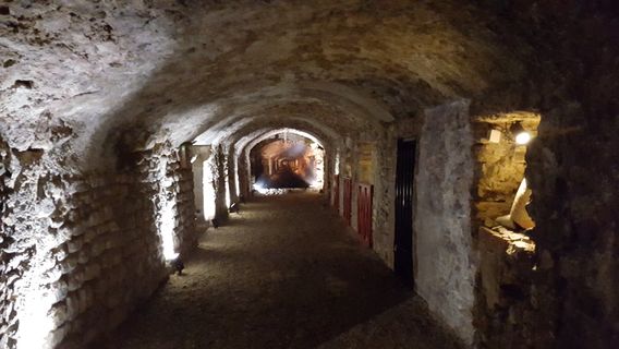 Roman Granary Museum