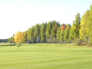 Loimijoki Golf