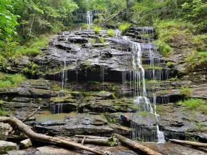 Station Cove Falls Trailhead