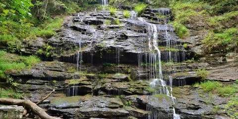 Station Cove Falls