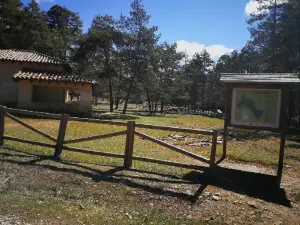 Sima de Alcorón