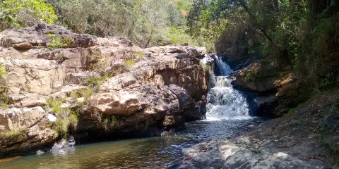 Parque Estadual Mata do Limoeiro