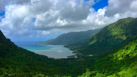 Apia