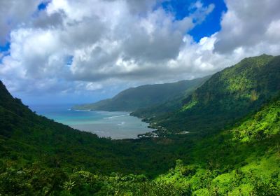 Samoa Dive & Snorkel