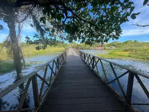 Parque Natural Municipal klaus Peters