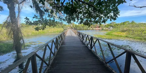 Parque Municipal klaus Peters