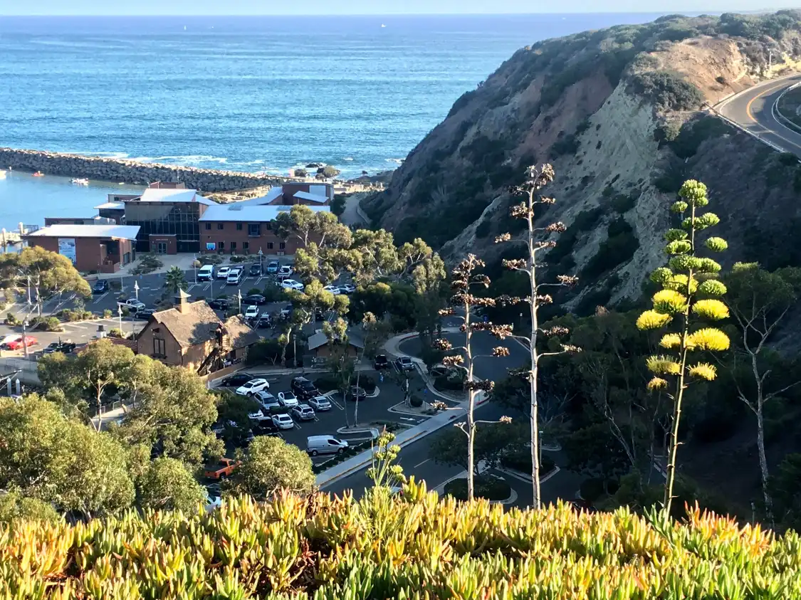 Hotels near Hill Top Park