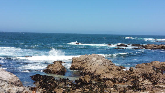 Pacific Grove