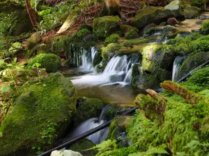 Doharataki Fall