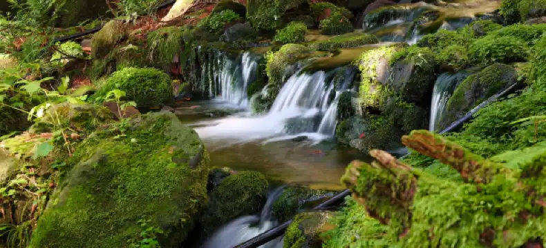 遊佐町のホテル