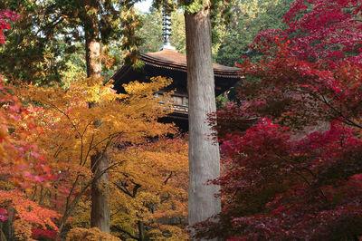 Kongorinji